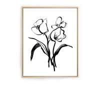 Minimalist Line Art