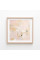 Warm Harmony — Blush Lines